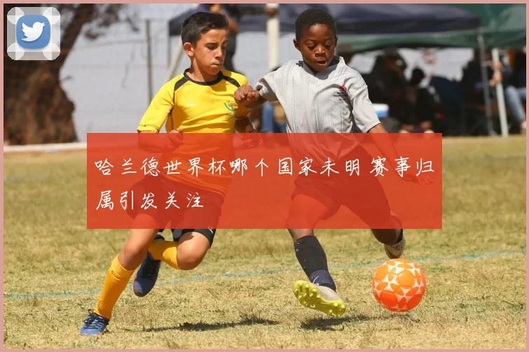 哈兰德世界杯哪个国家未明 赛事归属引发关注