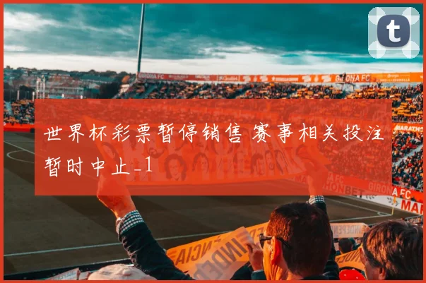世界杯彩票暂停销售 赛事相关投注暂时中止_1