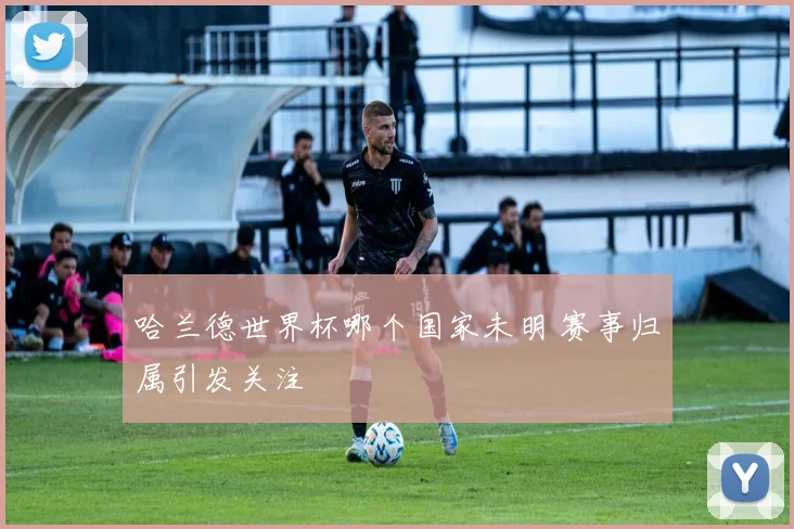 哈兰德世界杯哪个国家未明 赛事归属引发关注