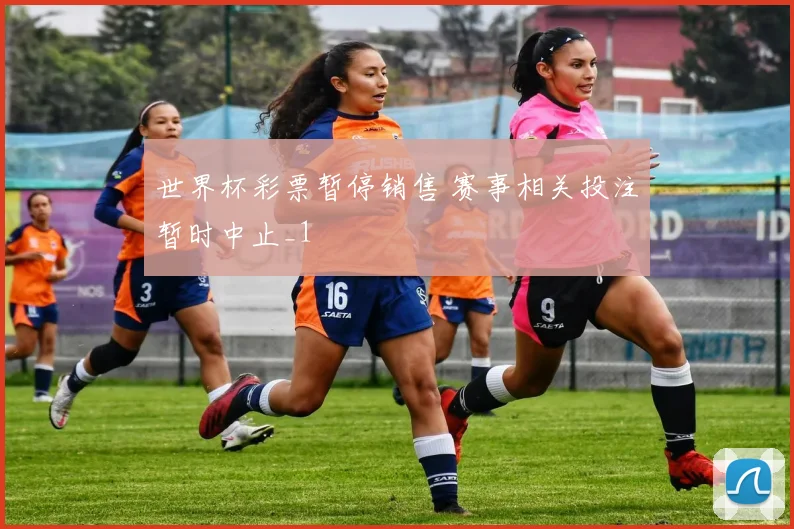 世界杯彩票暂停销售 赛事相关投注暂时中止_1